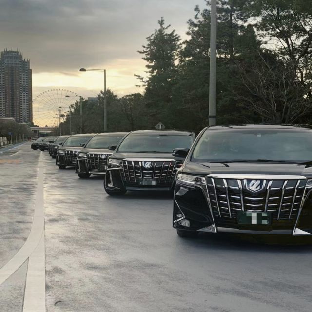 Osaka City: Private One-Way Transfers To/From Arima Onsen - Booking Details