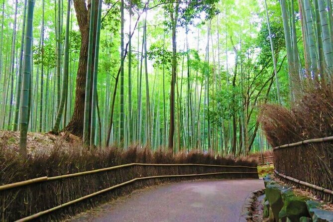 Osaka Departure Kyoto Top Full Day Tour Tour Highlights