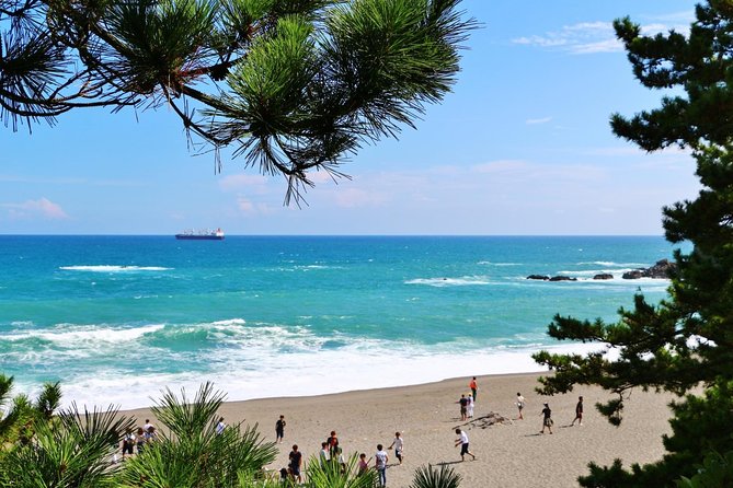 Port Pick Up: Kochi Tour With Licensed Guide and Vehicle Tour Details