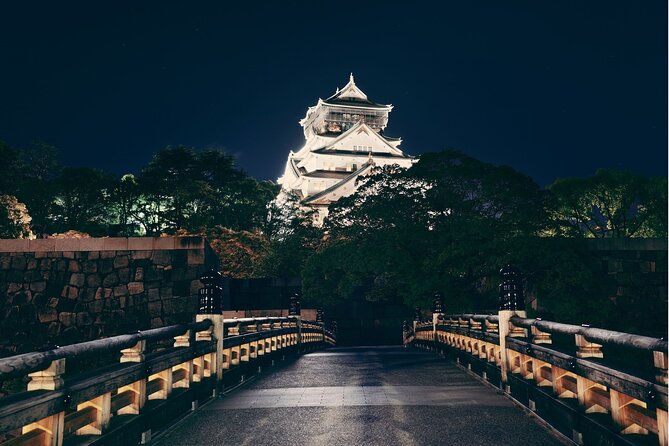Private Custom Tour With a Local Guide Osaka - Pricing and Booking