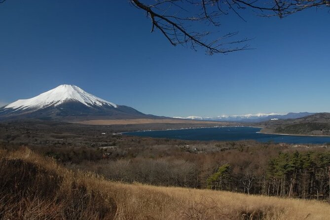 Private Full Day Guided Tour in Mount Fuji Lakes Tour Inclusions