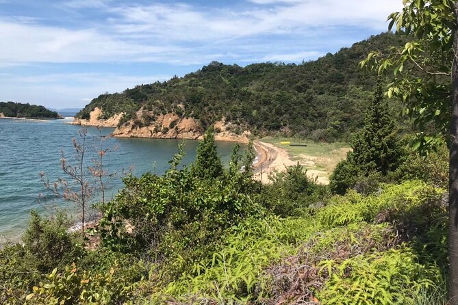 Private Full Day Tour in Naoshima Island for JR Pass Holder Only Luggage and Transportation Guidelines