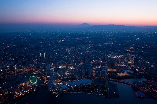 Private Helicopter Tour to See Mt Fuji or Tokyo Tower Passenger Information