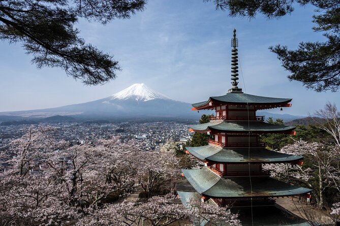 Private Japan Photo Tour Pickup Locations and Options