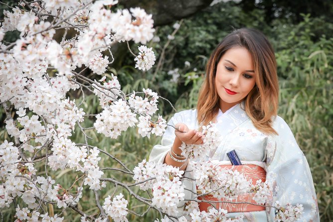 Private Kimono Photo Tour in Tokyo - Meeting and Pickup