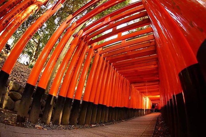 Private Kyoto Custom One Day Tour by Chartered Vehicle Pricing and Booking Details