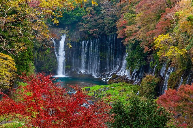 Private Mount Fuji and Hakone City Tour From Tokyo Pricing Information