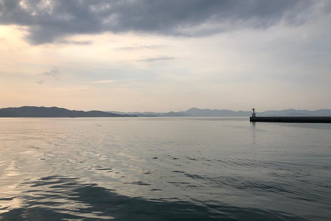 Private Scenic Cycling in Teshima Island Includes Teshima Museum Highlights of the Private Scenic Cycling Tour