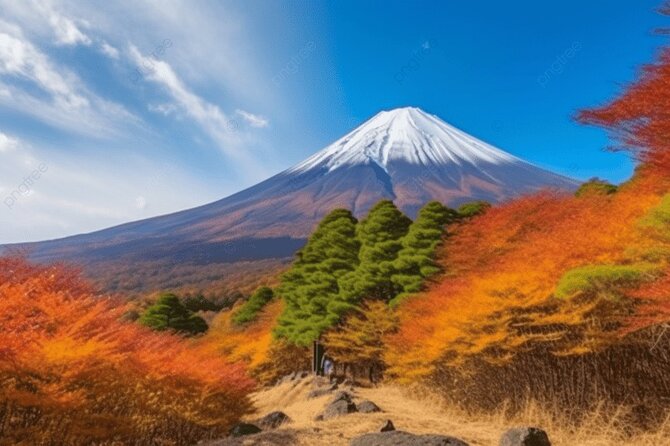 Private Transport Mt Fuji and Hakone Day Trip Pricing and Guarantee
