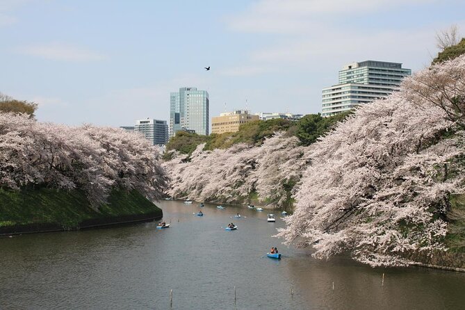Private & Unique Tokyo Cherry Blossom "Sakura" Experience - Places to Visit