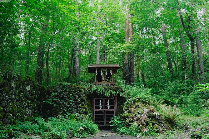 Retreat Bus Tour Surrounded by Beautiful Mt.Fuji Tour Inclusions