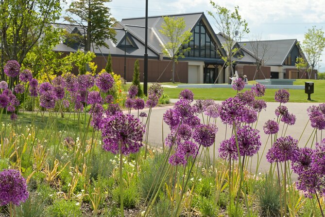 Sapporo to Airport Service With Fruit Picking Along the Way! - Accessibility and Transportation