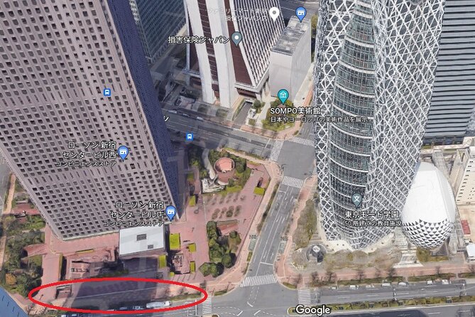 Snow Monkey, Shiga Kogen Roman Museum With Lunch Buffet Overview and Tour Details