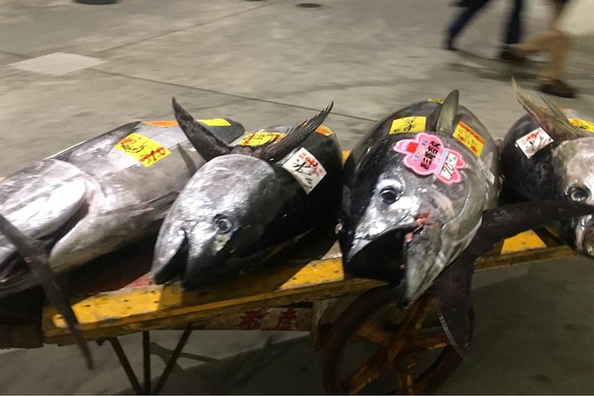 Special Access at Toyosu Fish Market With Hotel Pick up Overview and Inclusions