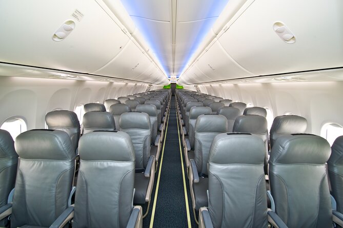 Spring Japan  New Years Sunrise Flight From NRT - Taxi Pick-up Service