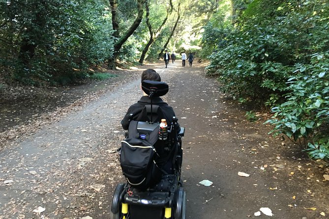 Tokyo Full-Day Wheelchair Accessible Highlights Tour - Cancellation Policy