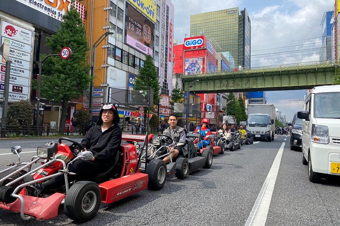 Tokyo Go Kart Rental With Local Guide From Akihabara Pricing and Booking