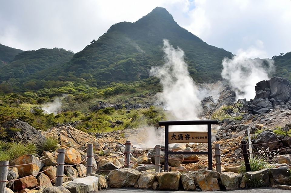 Tokyo: Hakone Fuji Day Tour W/ Cruise, Cable Car, Volcano - Activity Details