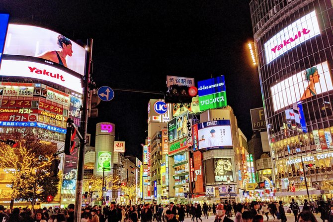 Tokyo Private Car Tour: Professional Guide and Driver/Optional Airport Xfer Tour Overview