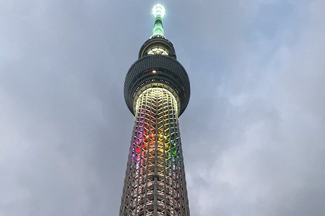 Tokyo Private Custom Tour Around City Area - Customized Itinerary Options