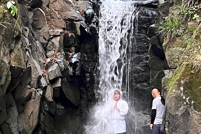 Tokyo Seasonal Peaks Discovery Seasonal Attractions in Tokyo