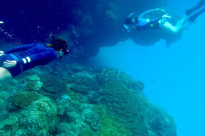 Tomori- Beach Blue Cave Snokering/ENGLISH PRIVATE - Pricing and Guarantee