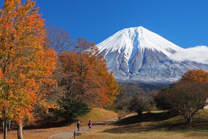 Virtual Tour to Discover Mount Fuji Shizuoka: A minute Introduction