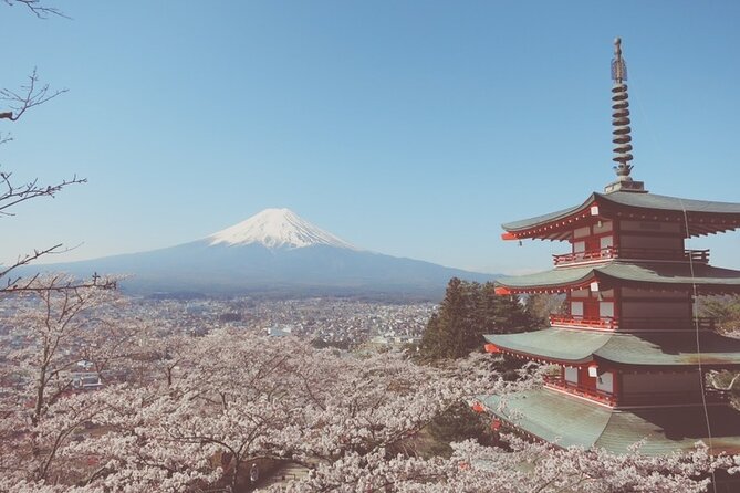 Worlds Most Famous Sight, Mount Fuji, With an English Speaking Guide Group Size: Pricing Variations