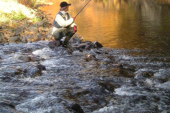 Yakusugi Cedar Forest Walking Tour on Yakushima Island - Pricing and Booking Details