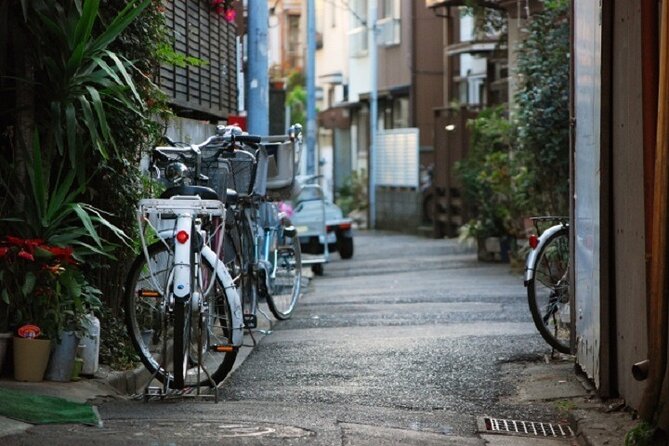Yanaka Guided Walking Tour With Topography Expert Tour Overview