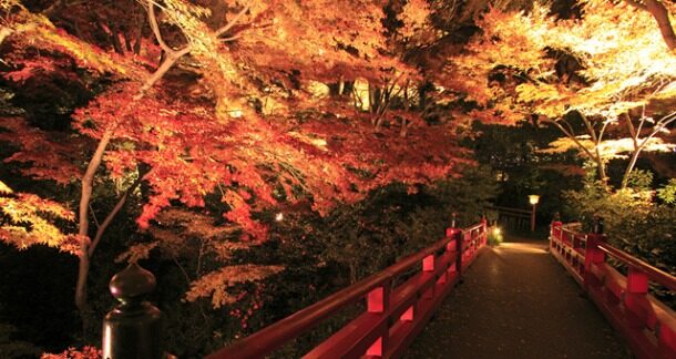 hotel-chinzanso-tokyo-1