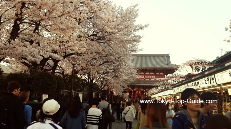 tour-2-in-tokyo-hidden-treasures