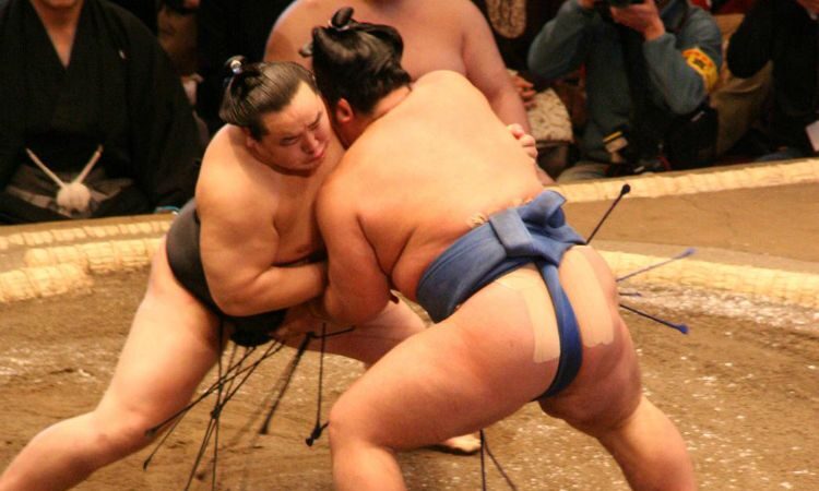 sumo-wikipedia-4