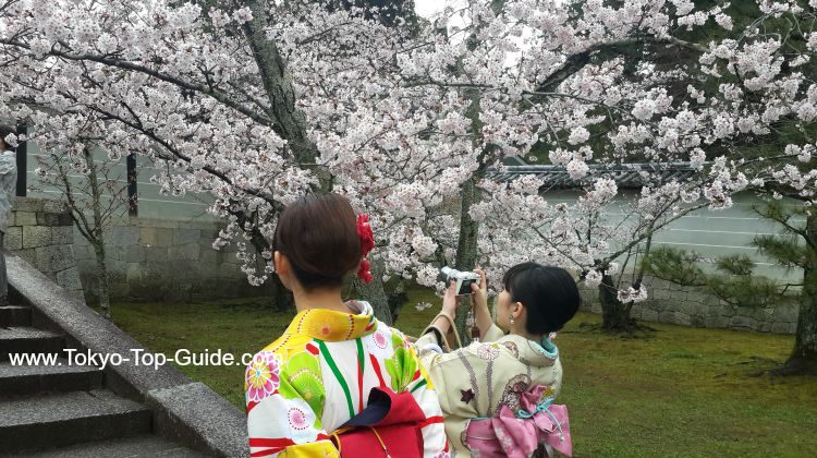 best-things-to-do-in-tokyo-april-1-2-2