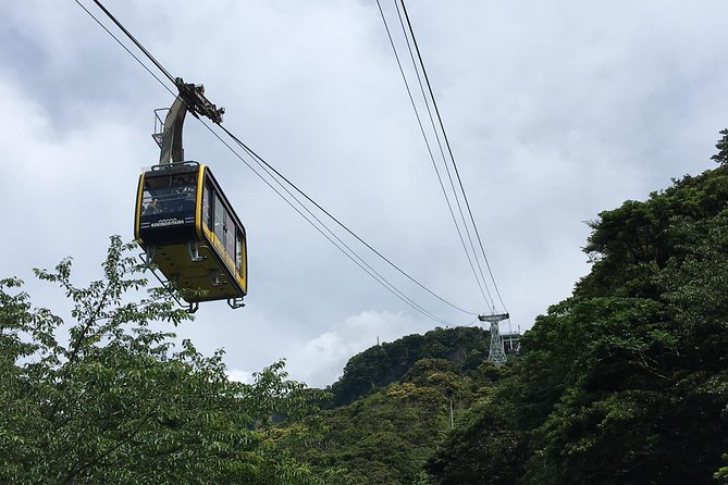 1 Day Mount Nokogiri Hiking Tour From Tokyo - Meeting and Pickup