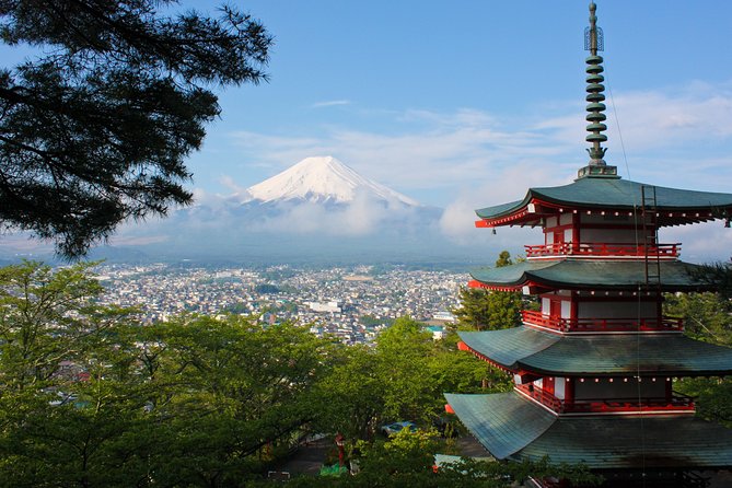 1 Day Private Mt Fuji Tour (Charter) - English Speaking Driver - Traveler Photos