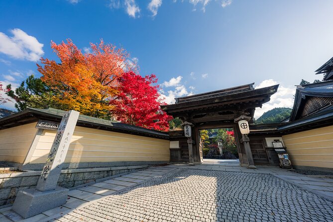 7 Hours Tour Enjoyment Light Plan in Koyasan - Itinerary Highlights