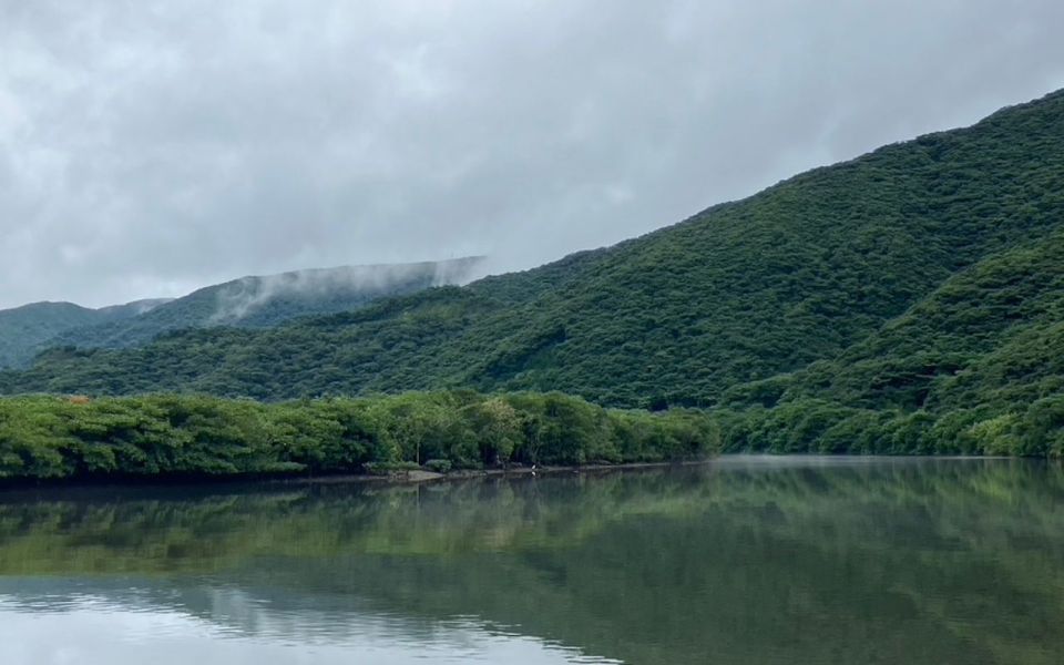 Amami: Morning Mangrove Kayaking Tour - Experience