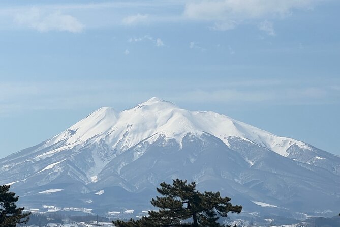 Apple Picking and Hirosaki Full Day Private Tour - Booking Information