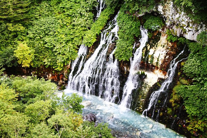 [Biei/Furano] One-Day Sightseeing by Private Car! - Cancellation Policy