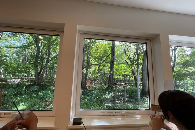 Chitose River E-Bike Cycling and The Birdwatching Cafe - Scenic Mountain Bike Tour Options