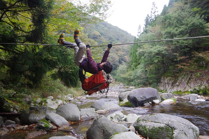 Cultivate Organic WASABI - Growing Conditions for Wasabi