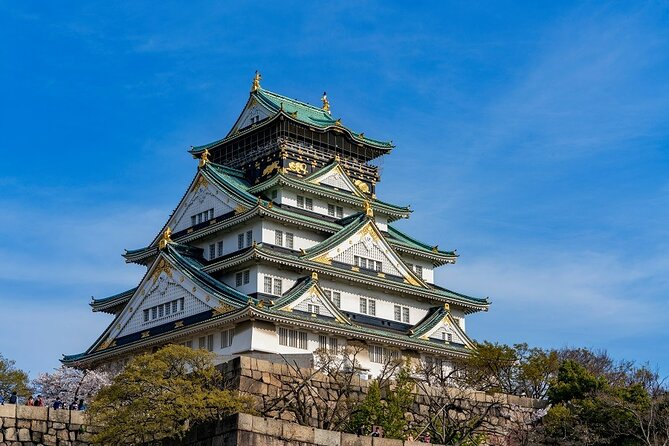Explore Osaka Hotspots in 1 Day Walking Tour From Osaka - Customization Options