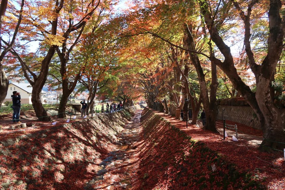 From Tokyo: Mount Fuji Highlights Private Day Tour - Experience Highlights