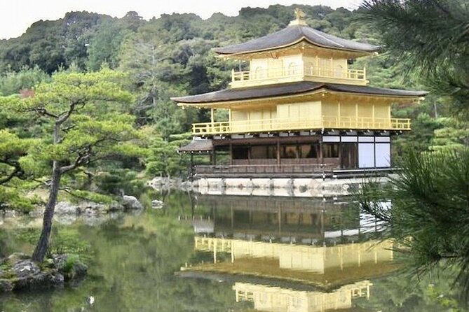 Full-Day Private Guided Tour to Kyoto Temples - Reviews