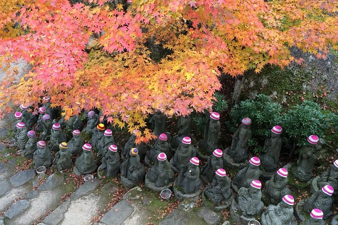 Full Day Tour on Your Arrangement - Meeting and Pickup