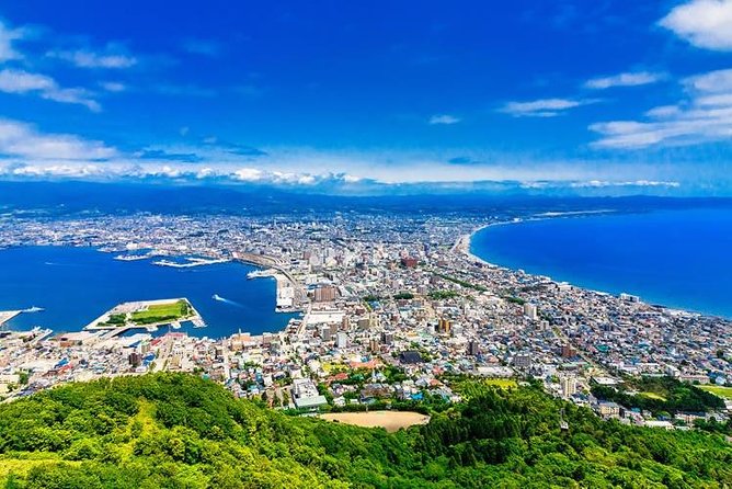 Hakodate Half-Day Private Tour With Government-Licensed Guide - Transportation and Booking Information