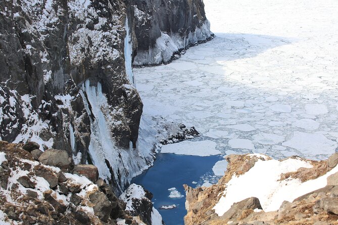 Half-Day Primeval Forest Snowshoe and Wildlife Watching Tour - Required Equipment