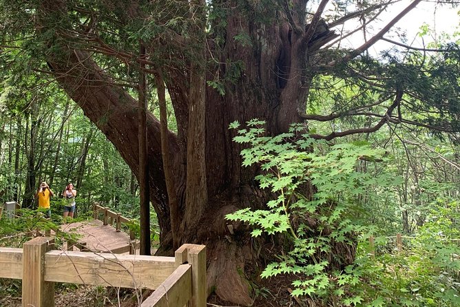 Hiking Tour Around Takayama City (About 3 Hours) - Spiritual Experience