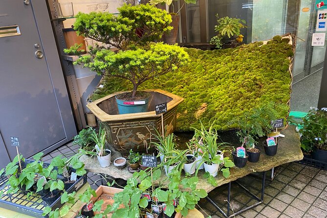 Ikebana Experience Tour in Kyoto - Ikebana Workshop Details